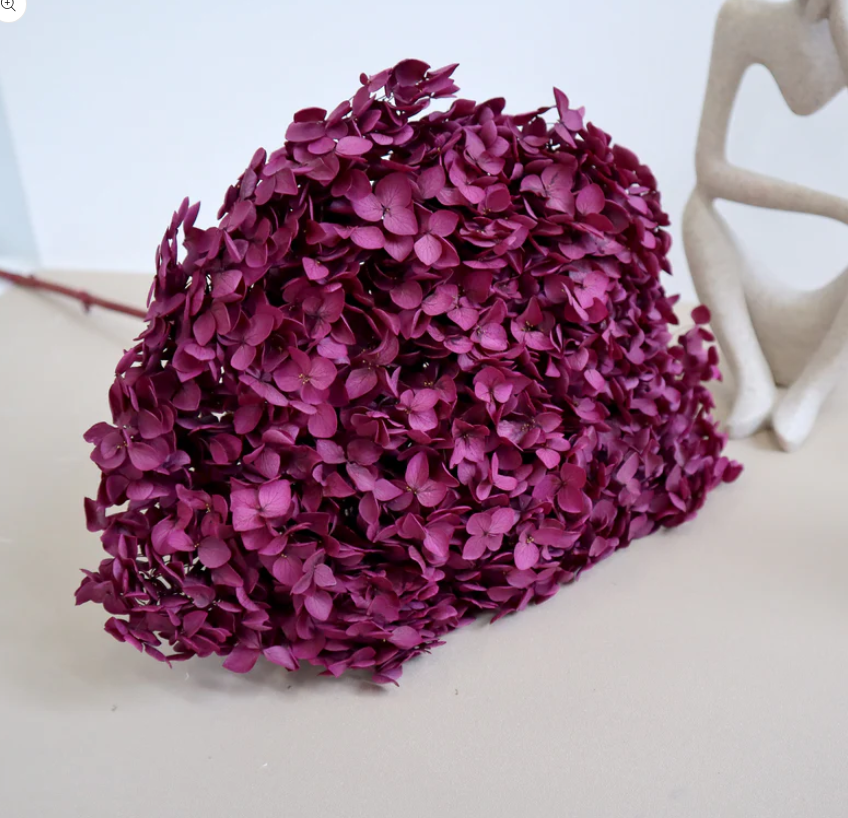 Annabelle Hydrangea - Cherry