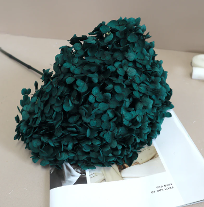 Annabelle Hydrangea - Teal