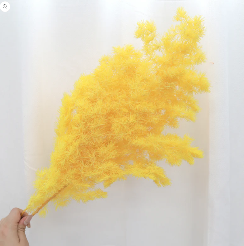Ming Fern - Yellow
