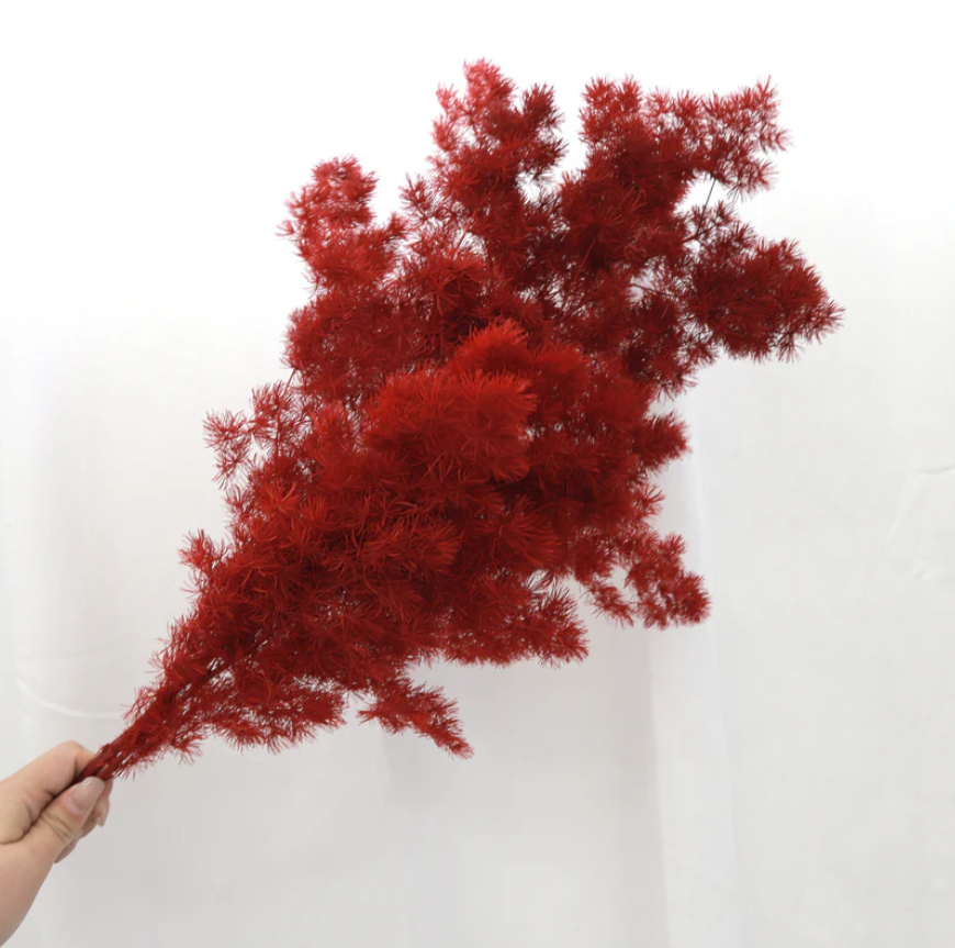 Ming Fern - Red