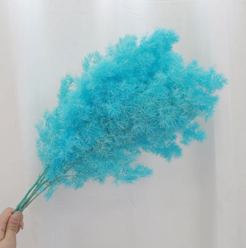 Ming Fern - Bright Blue