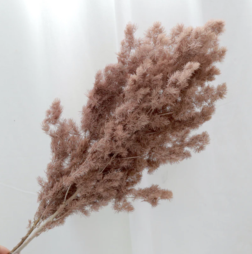 Ming Fern - Mocha