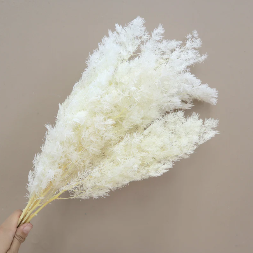 Ming Fern - White