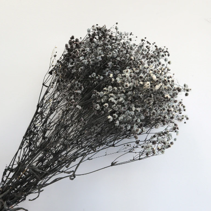 Baby's Breath - Blue/Grey