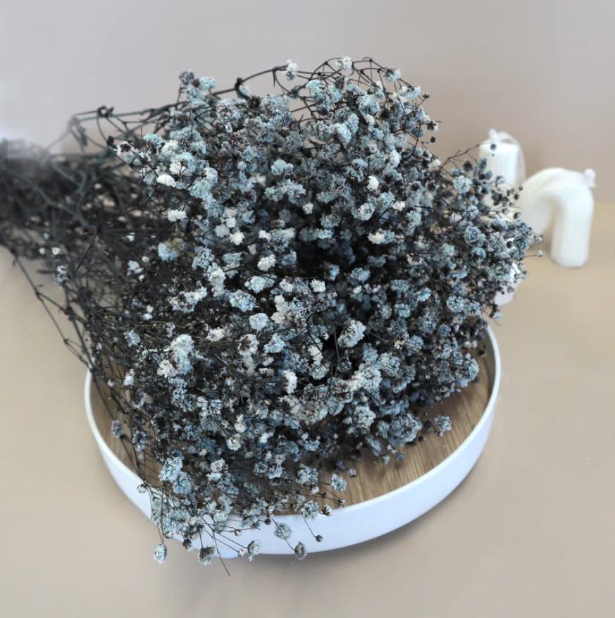 Baby's Breath - Blue/Grey