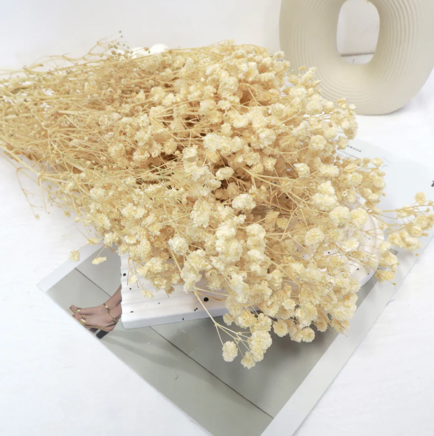 Baby's Breath - Natural