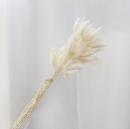 Bunny Tails - Off White