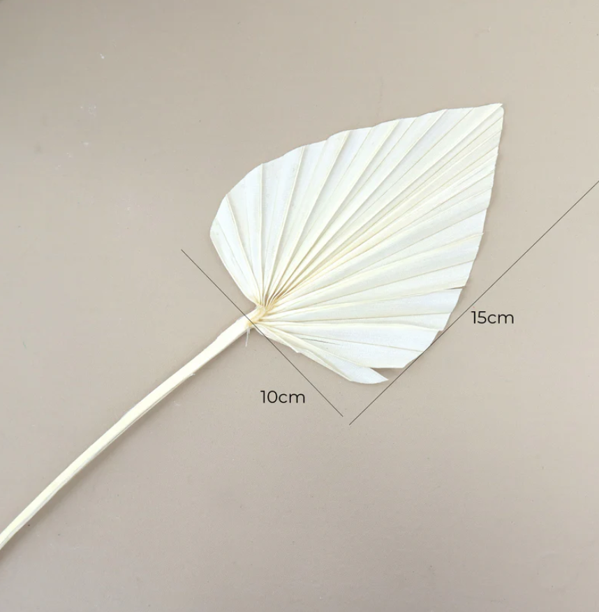 Spear Palm - Off White