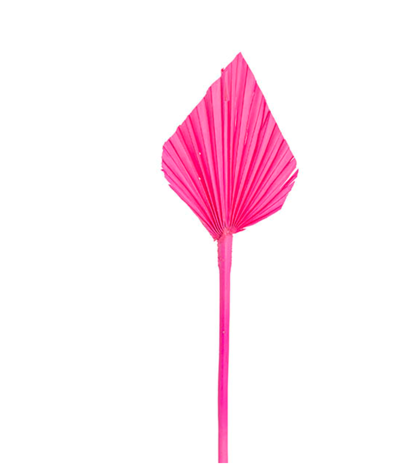 Spear Palm - Hot Pink