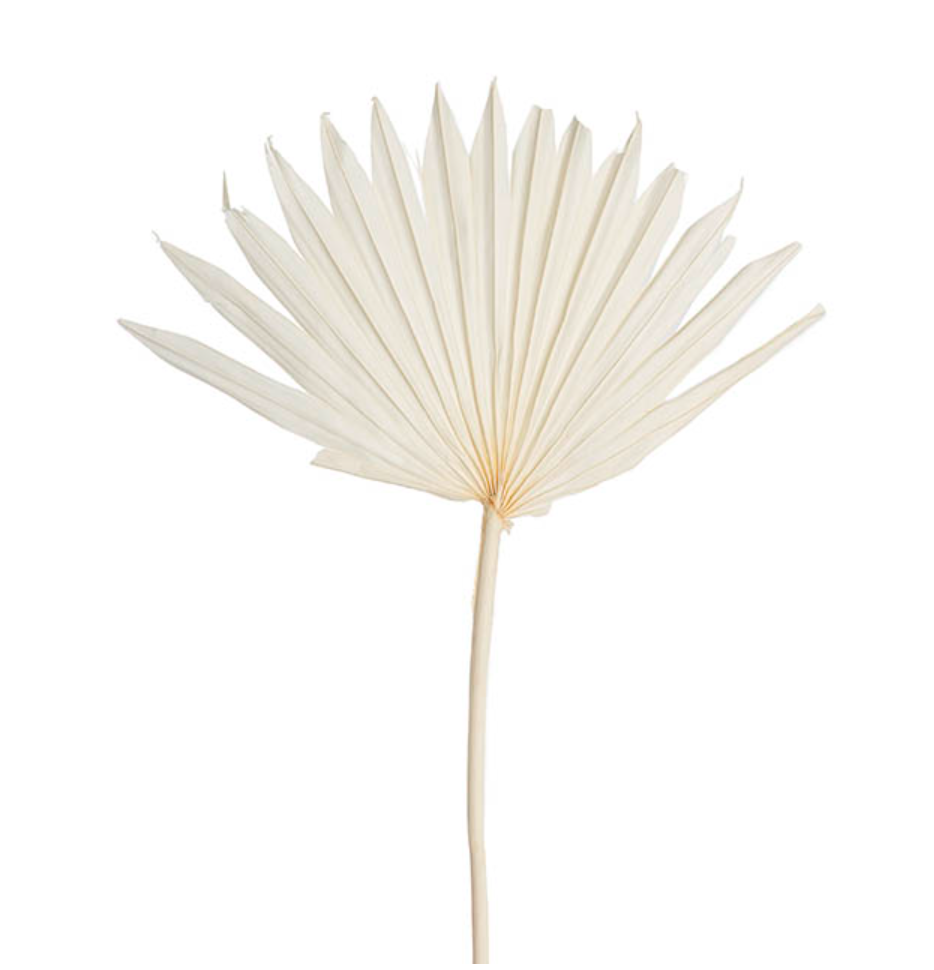 Sun Palm - Off White
