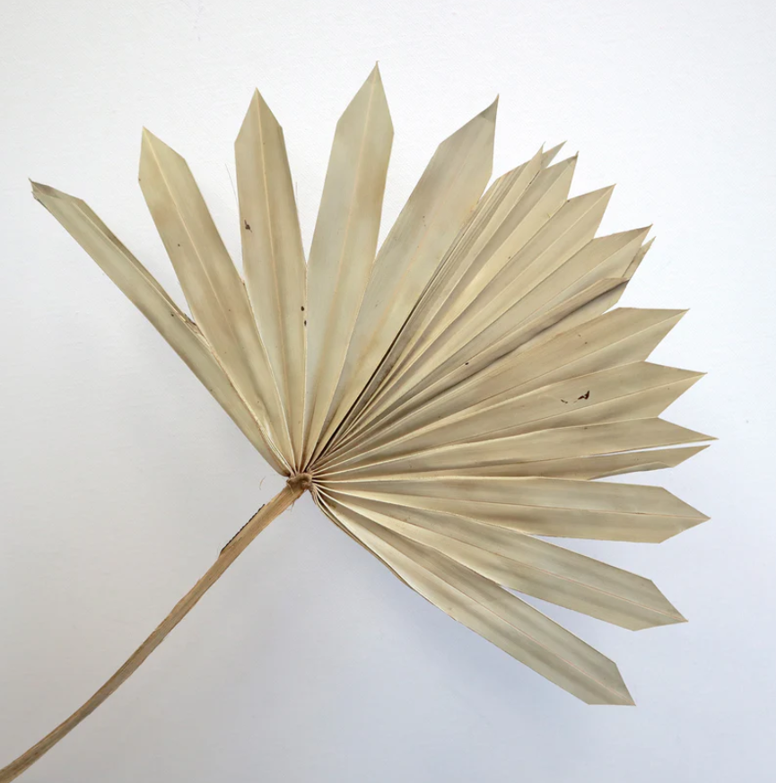 Sun Palm - Natural