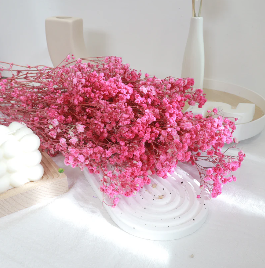 Baby's Breath - Hot Pink