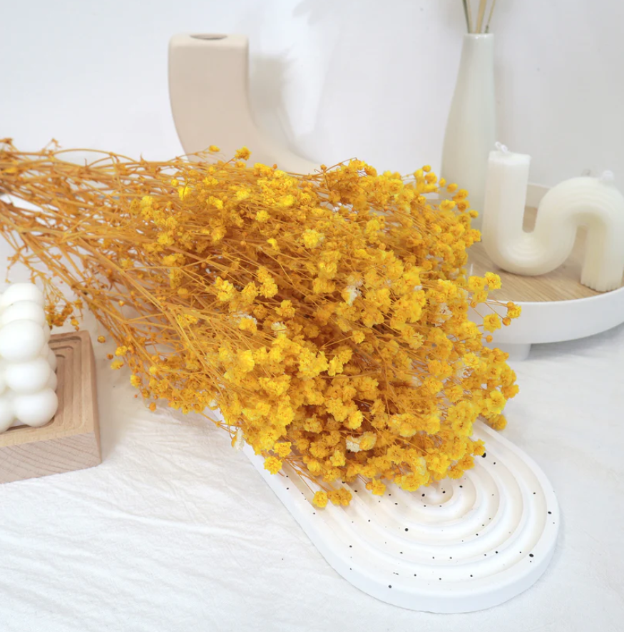Baby's Breath - Yellow