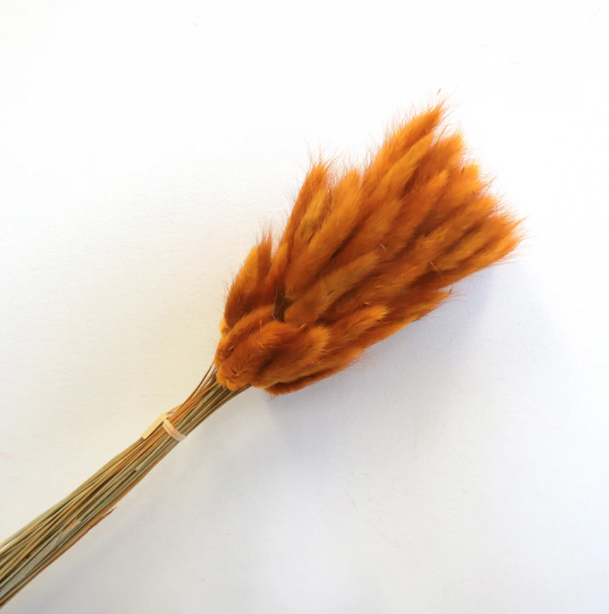 Bunny Tails - Rust