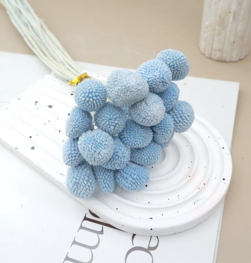 Billy Buttons - Blue