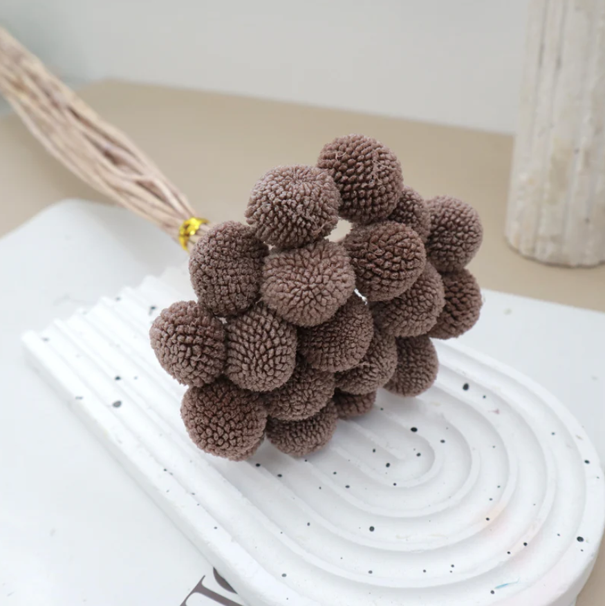 Billy Buttons - Brown