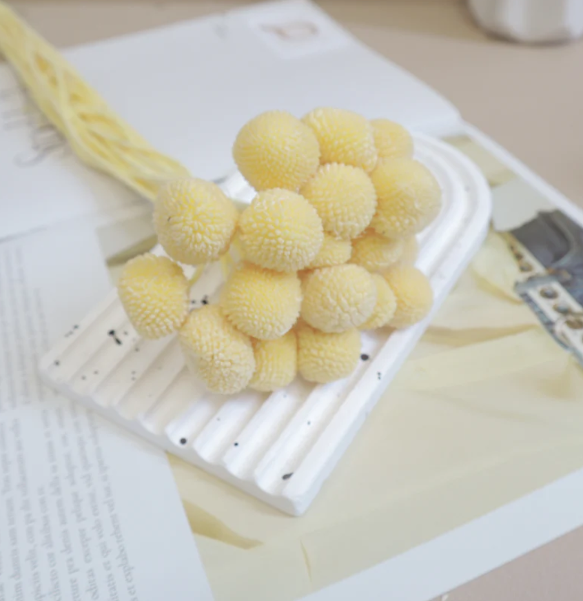 Billy Buttons - Pastel Yellow