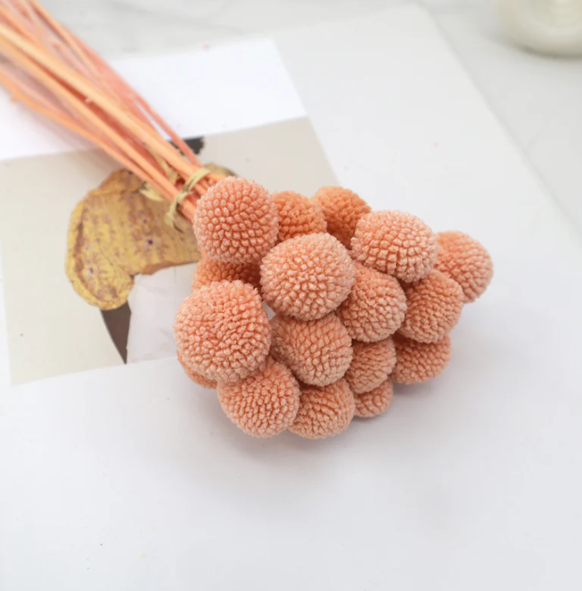 Billy Buttons - Apricot