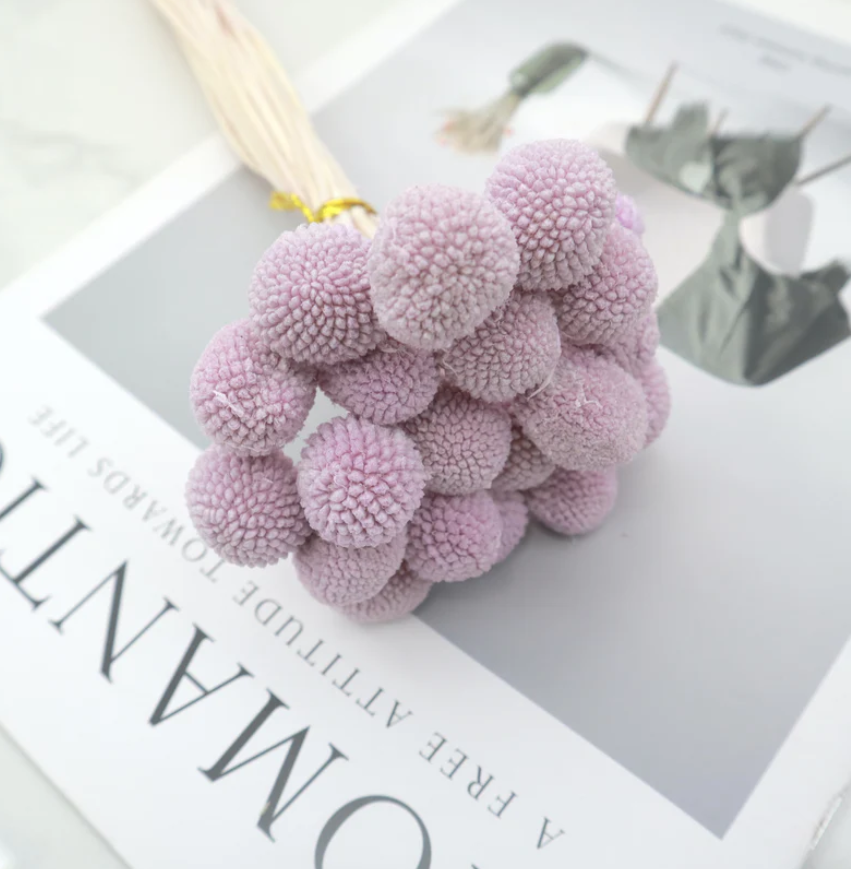 Billy Buttons - Pastel Purple