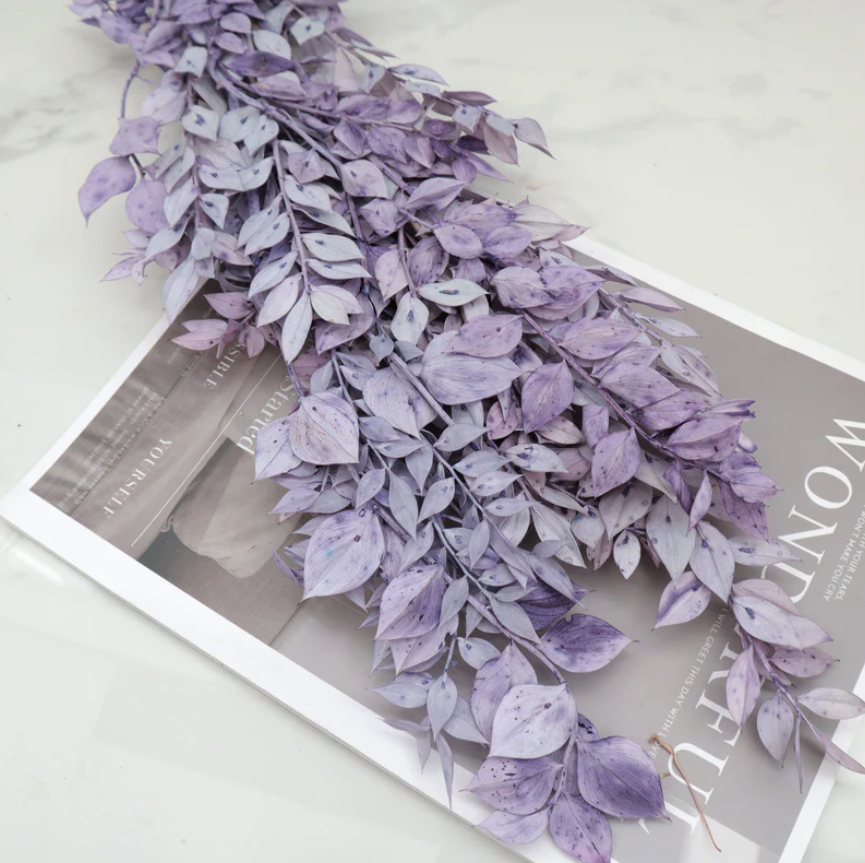 Ruscus - Purple