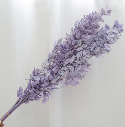 Ruscus - Purple