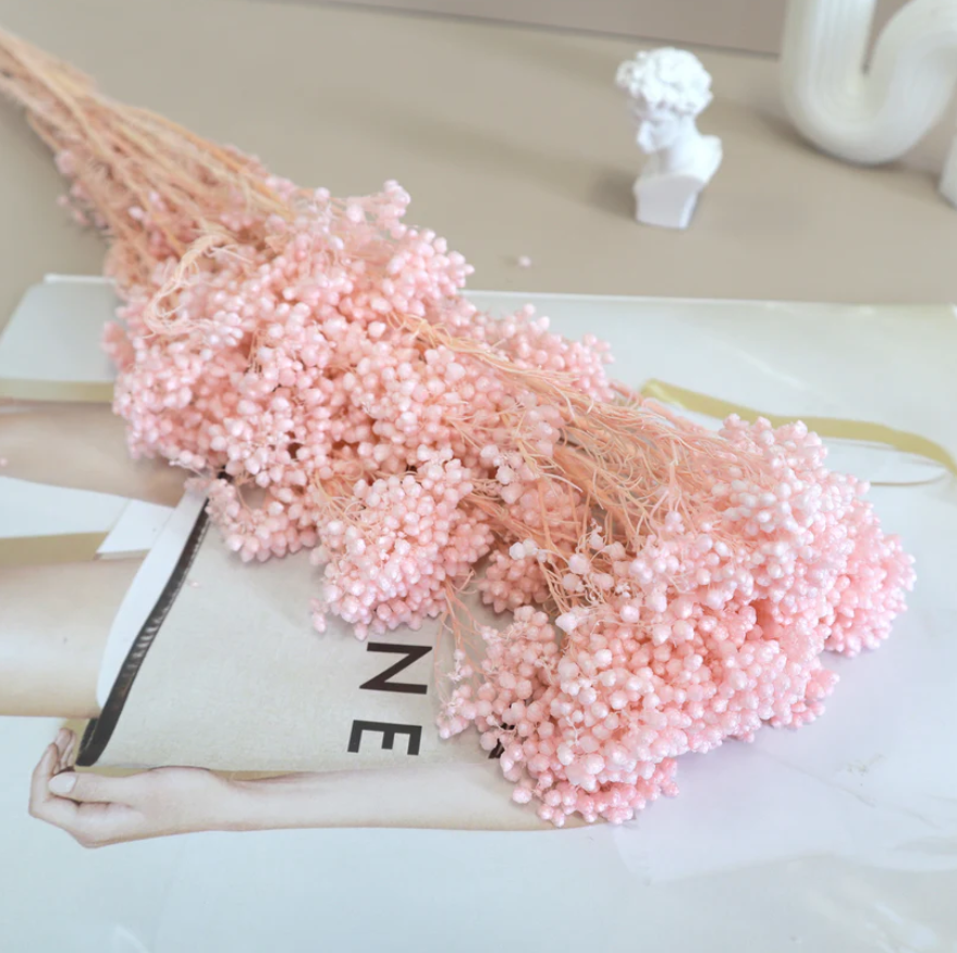 Rice flower - Pink