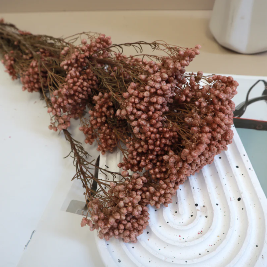 Rice flower - Chocolate