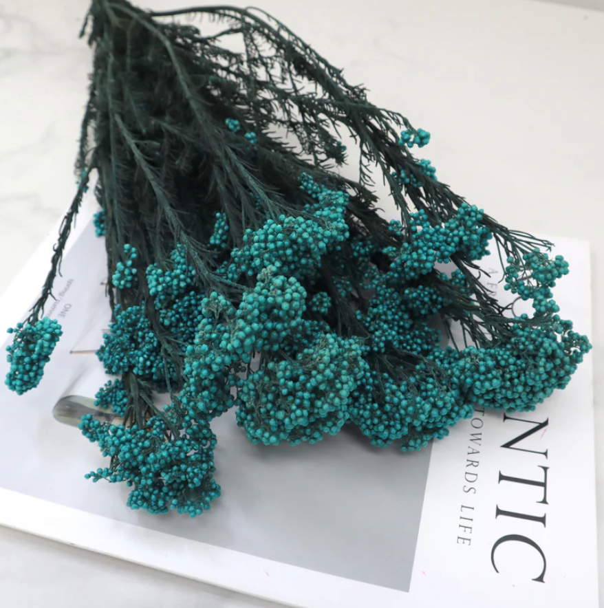Rice flower - Teal