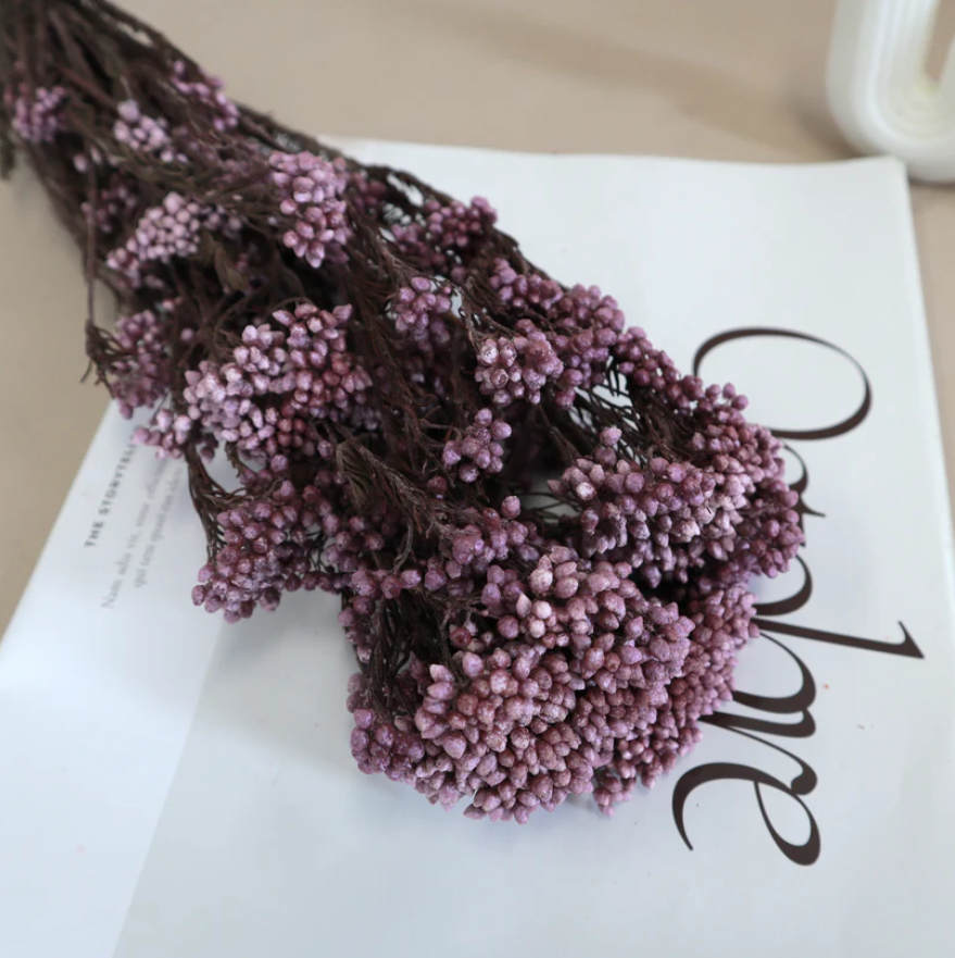 Rice flower - Purple