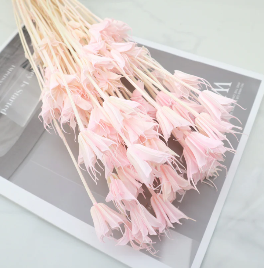 Nigella - Pastel Pink