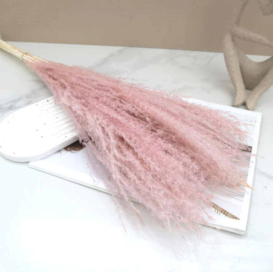 Horsetail - Dusty Pink
