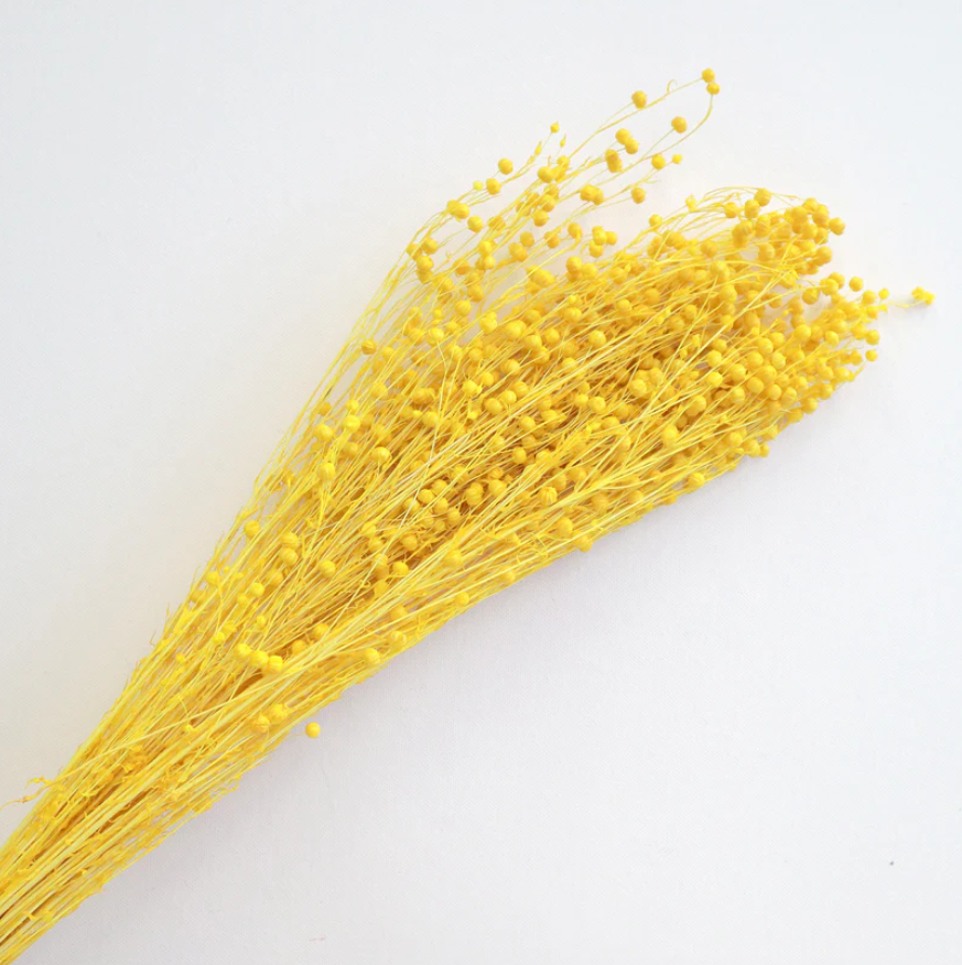 Hypericum Berries - Yellow