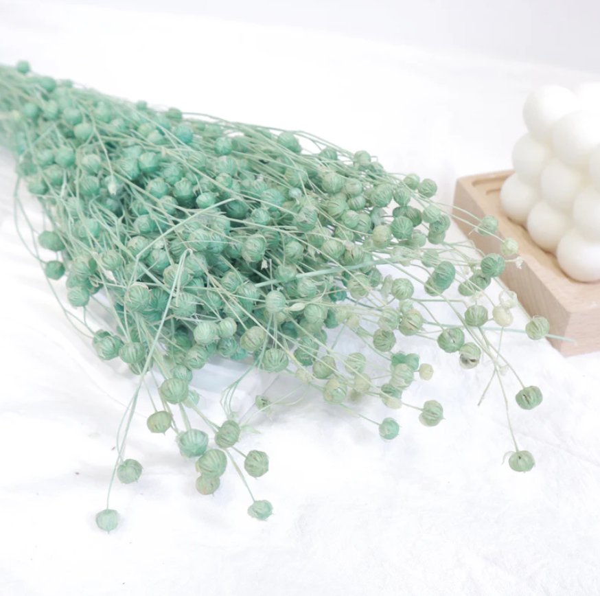 Hypericum Berries - Turquoise