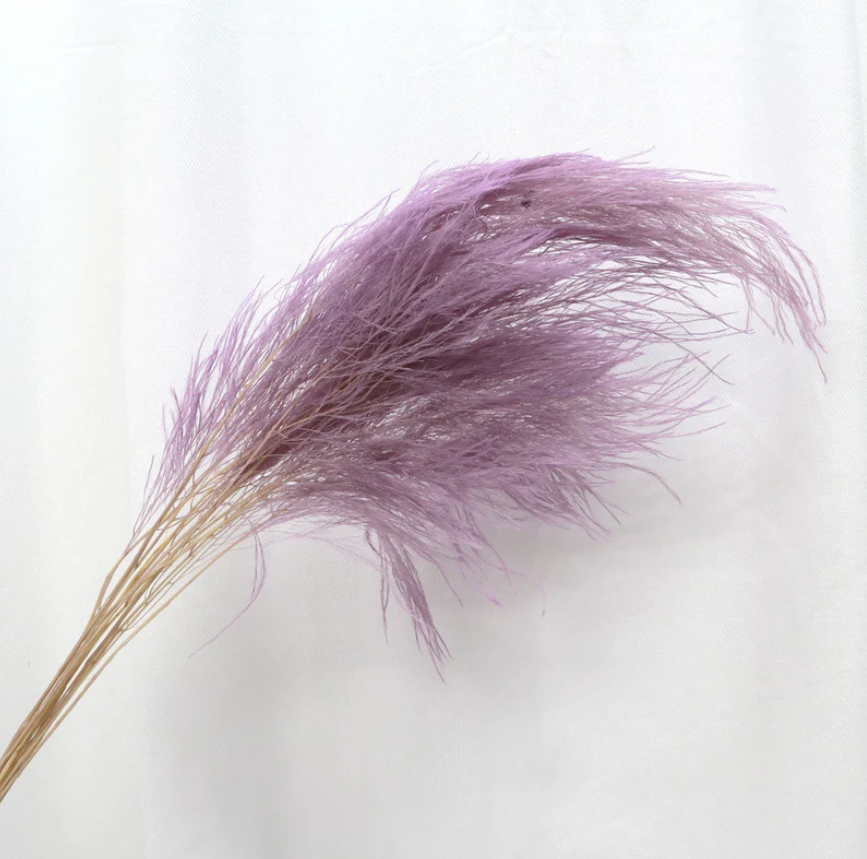 Tiki Fern - Purple