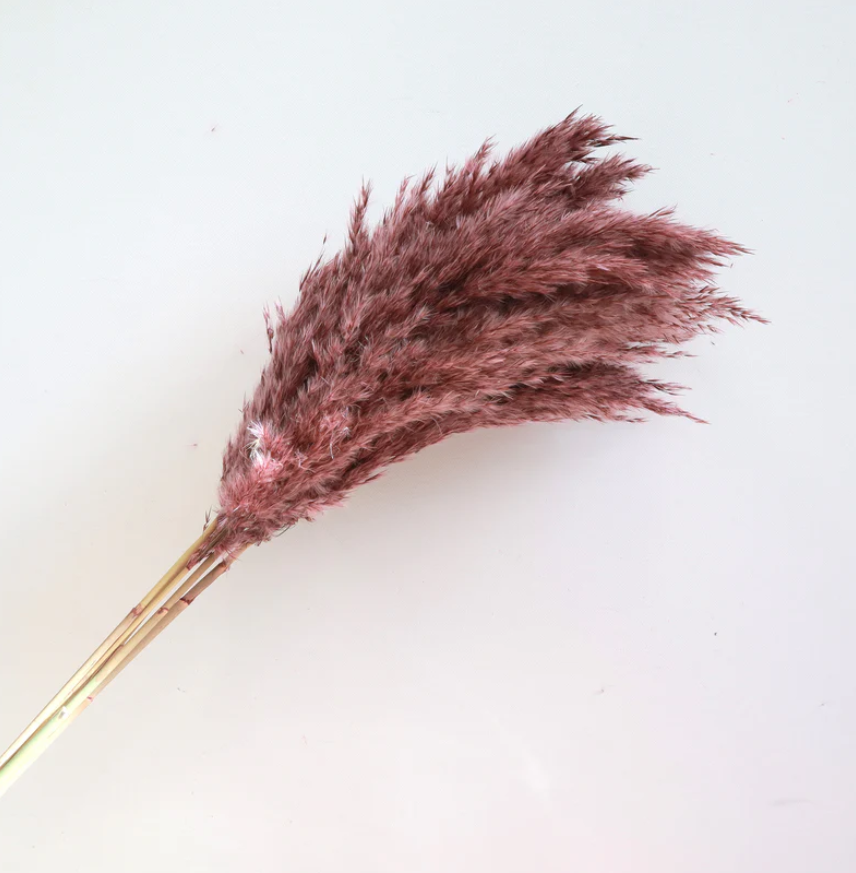Giant Reeds - Red Wine