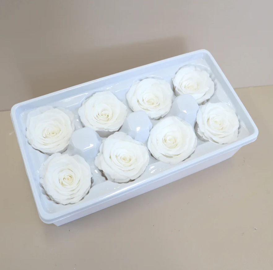Preserved Roses - White