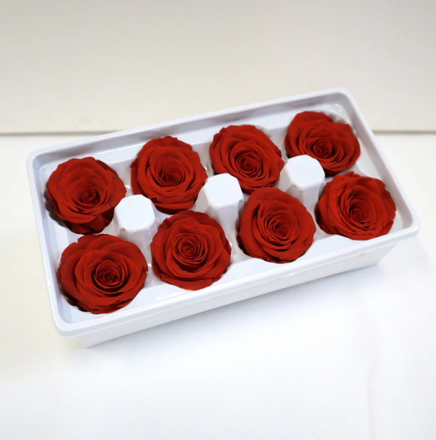Preserved Roses - Red
