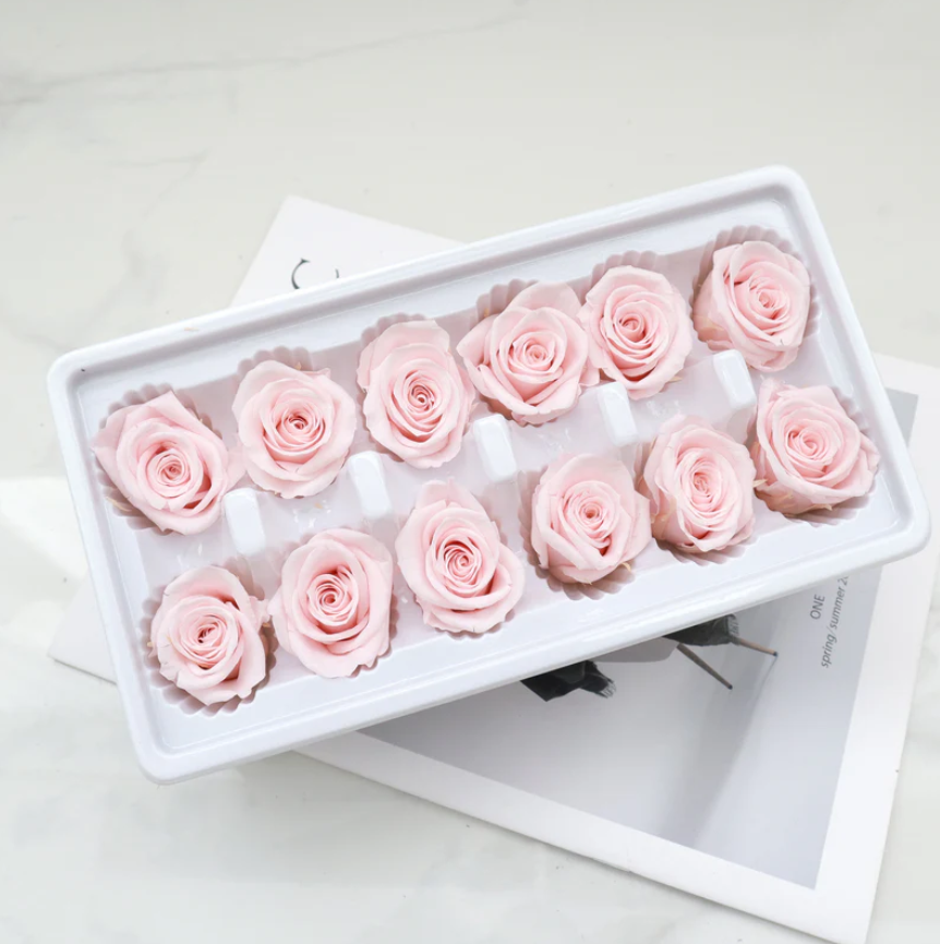 Preserved Roses - Pink