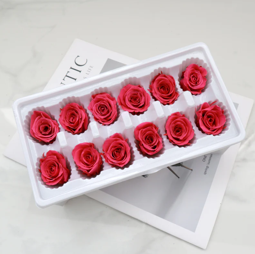 Preserved Roses - Hot Pink
