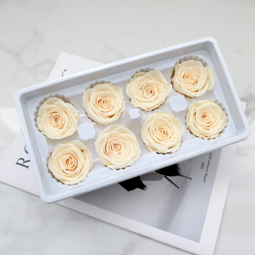 Preserved Roses - Peach
