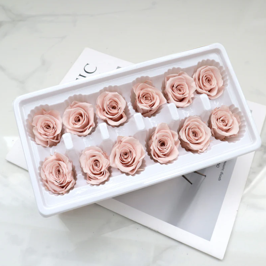 Preserved Roses - Dusty Pink