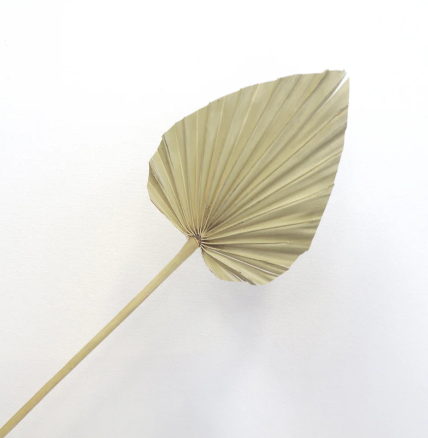 Spear Palm - Natural