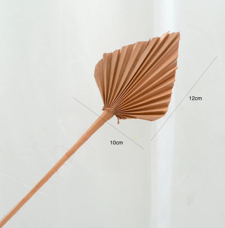 Spear Palm - Apricot
