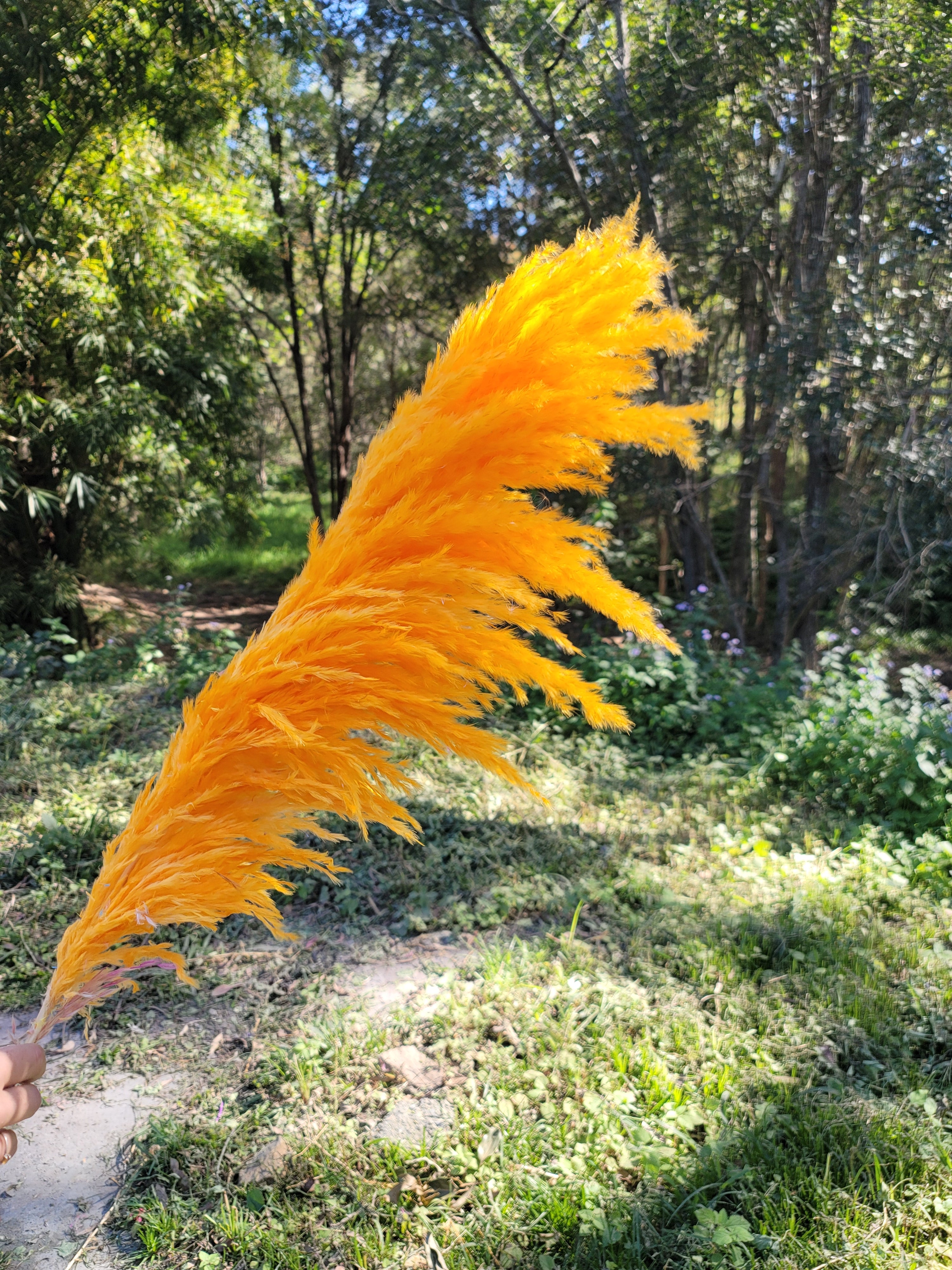 Pampas - Neon Orange