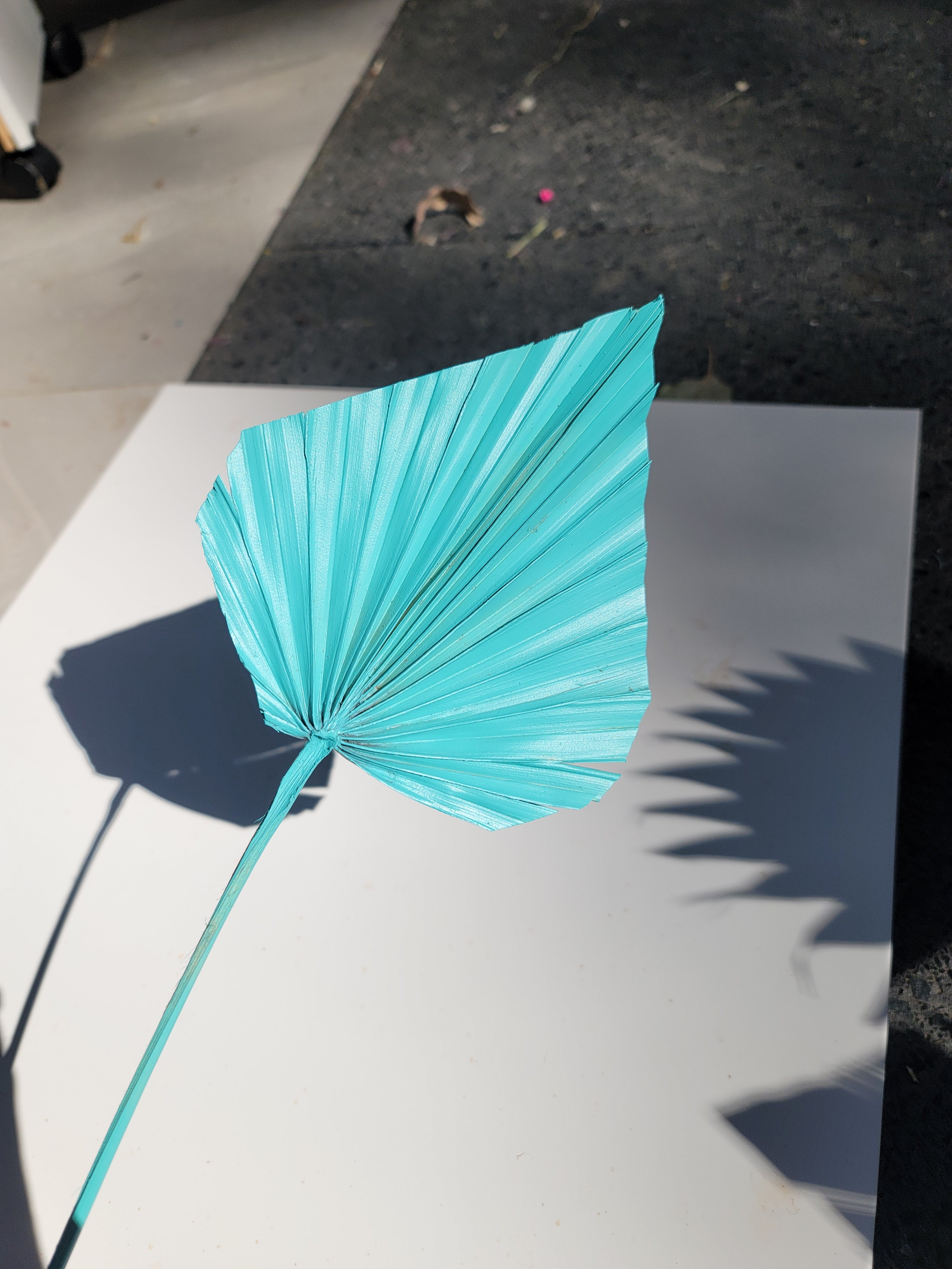 Spear Palm - Sprayed Bright Blue
