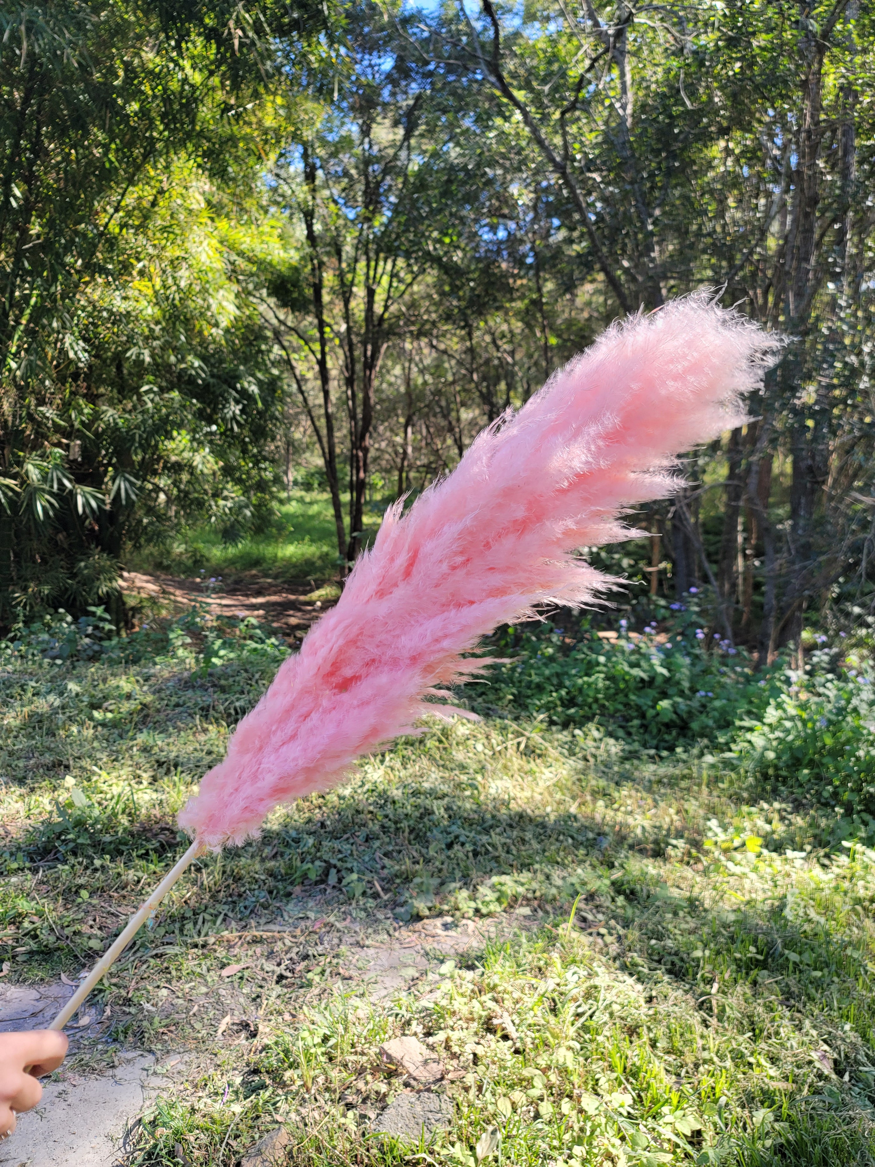 Pampas - Pink