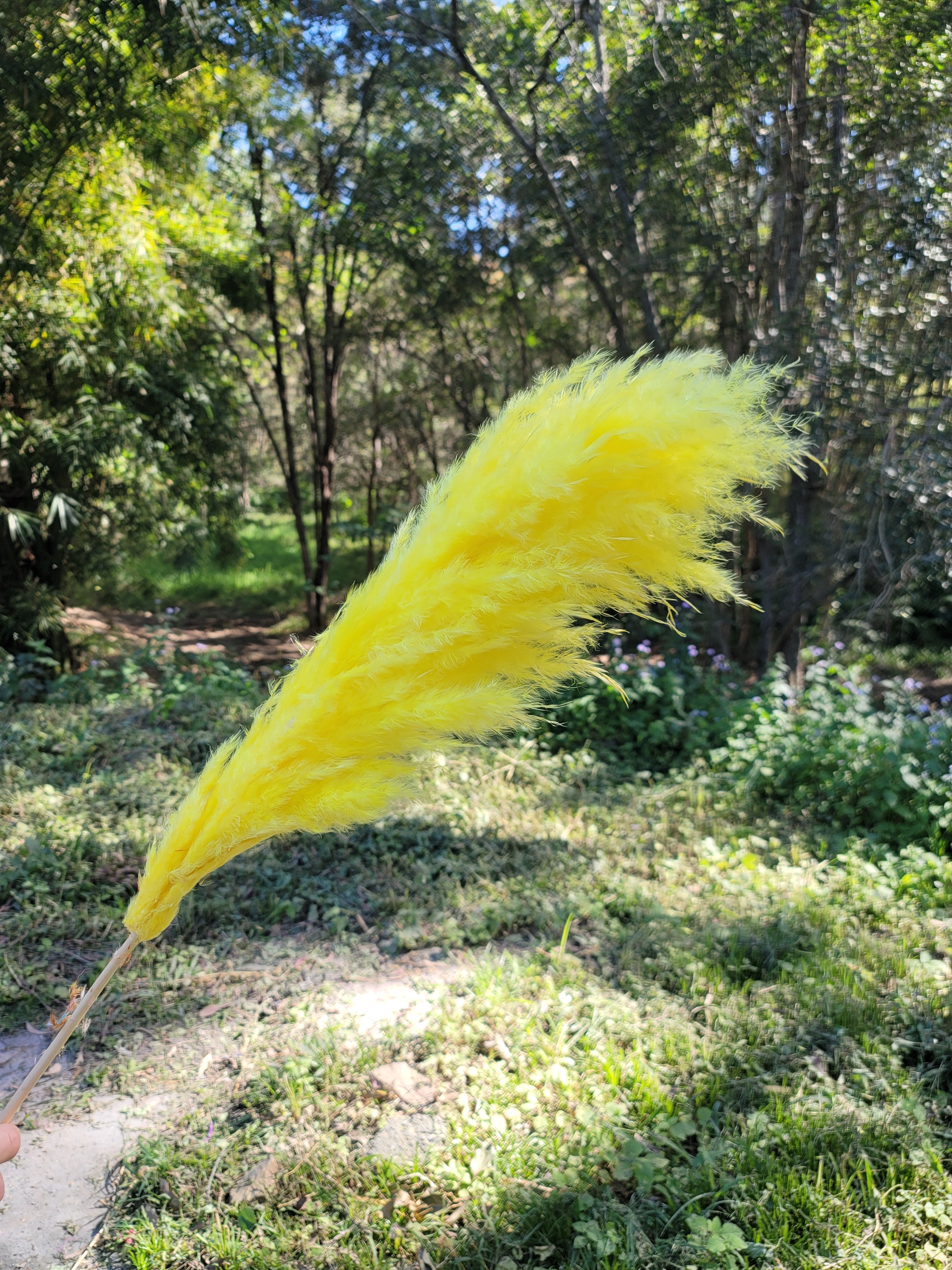 Pampas - Neon Yellow