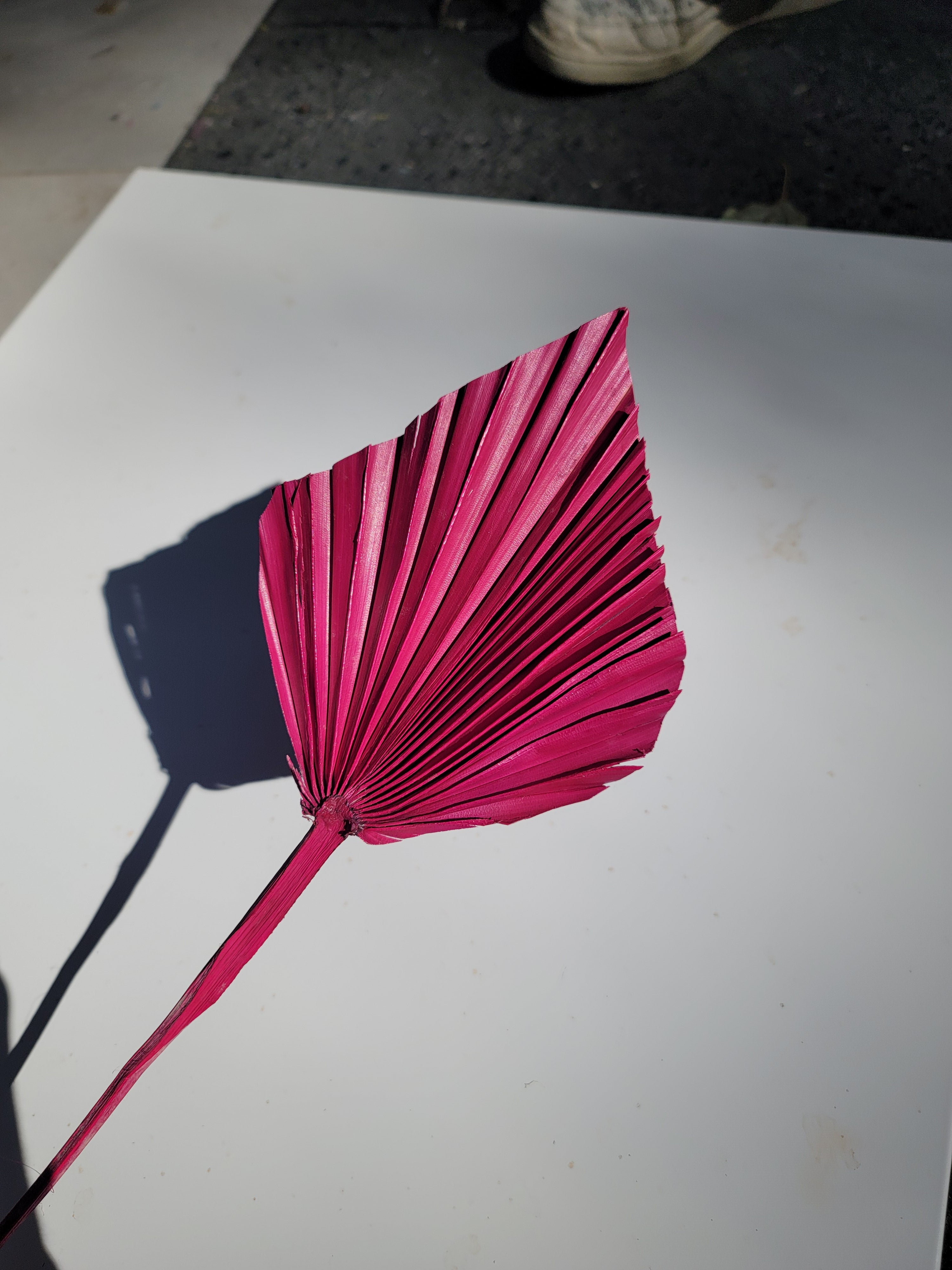 Spear Palm - Purple Red