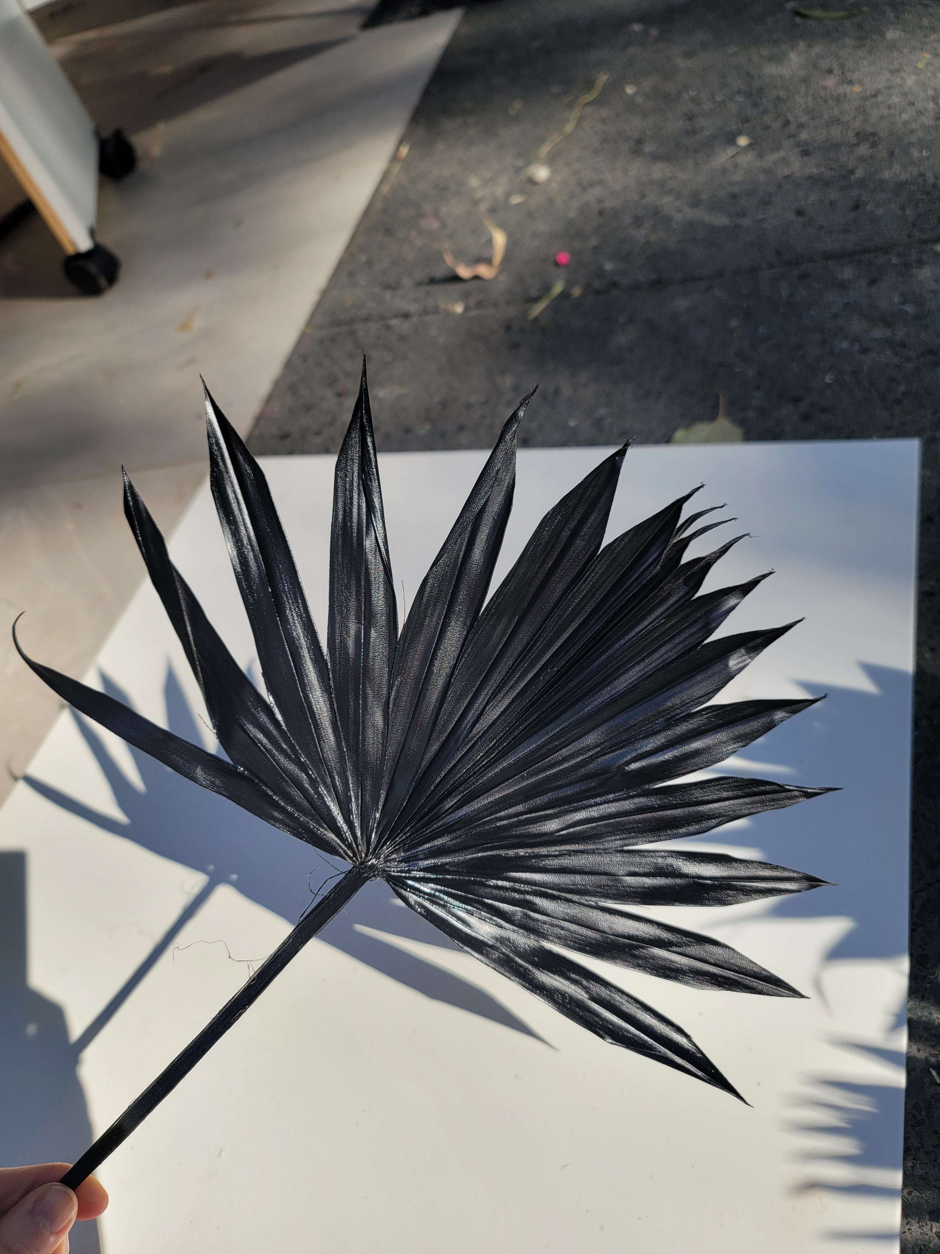 Sun Palm - Sprayed Black