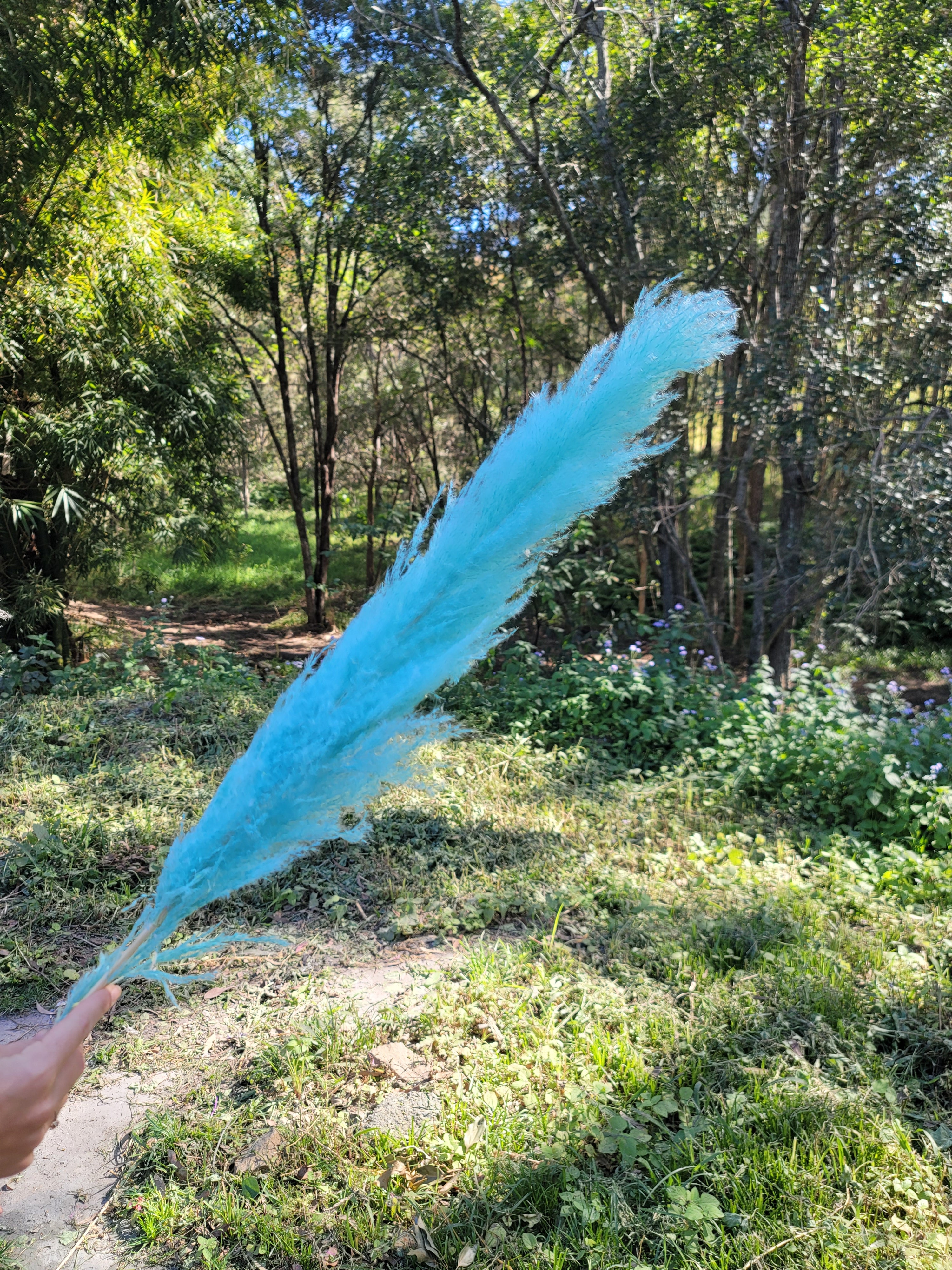 Pampas - Bright Blue